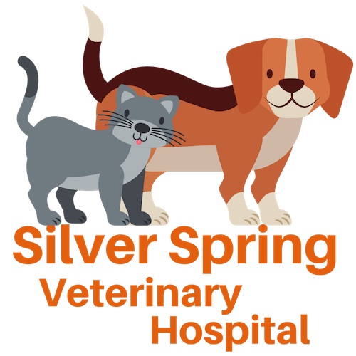 Silver Spring Veterinary Hospital