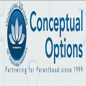 Conceptual Options, LLC