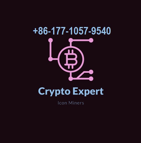 Crypto Expert Icon Miners