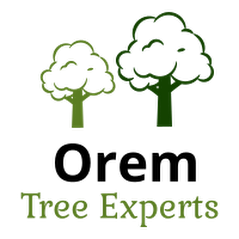 Orem Tree Experts