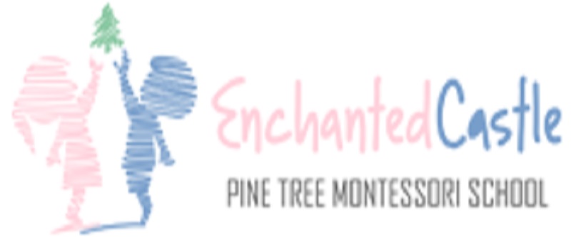 Enchanted Castle Pine Tree Montessori School