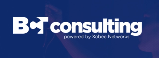 BCT Consulting, Inc Los Angeles IT Support