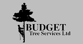 Budget Tree Services Ltd_Black Creek