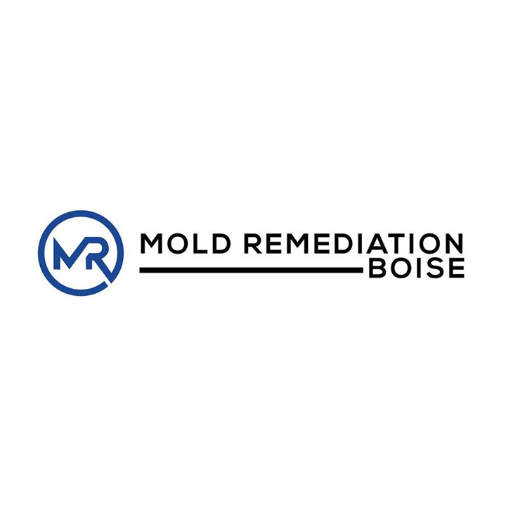 Mold Remediation Boise