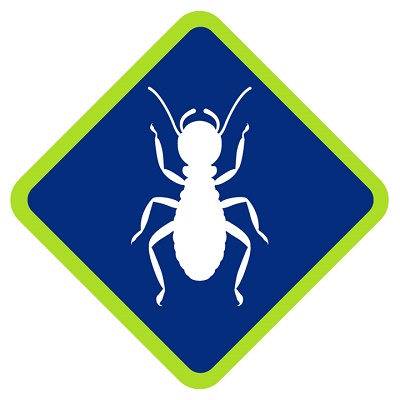 Affordable Termite Control Long Beach