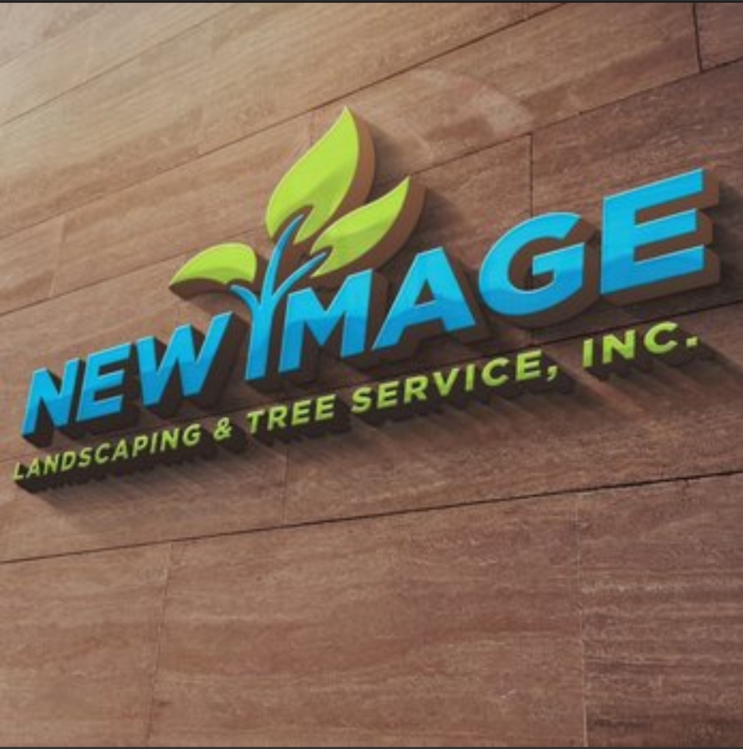 New Image Corp