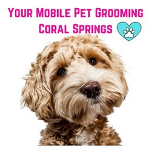 Your Mobile Pet Grooming Coral Springs