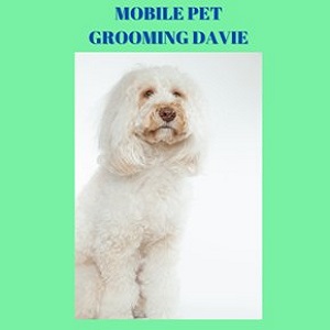 Mobile Pet Grooming Davie