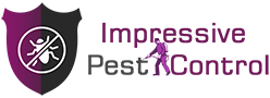 Possum Removal Brisbane
