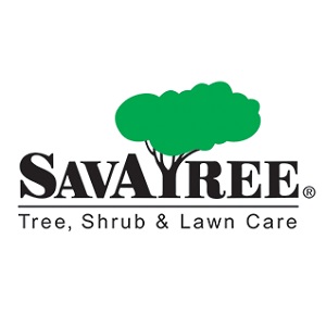 SavATree Tree Service & Lawn Care