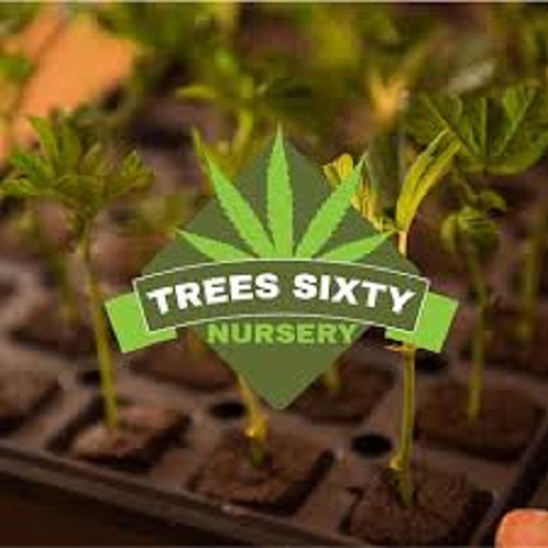 Trees Sixty Nursery