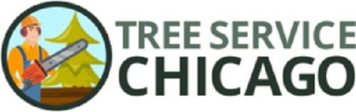 Tree Service Chicago