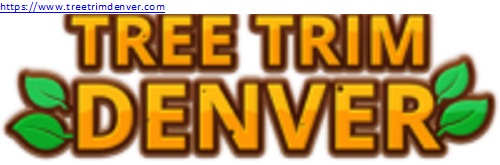 Tree Trim Denver