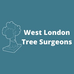 West London Tree Surgeons