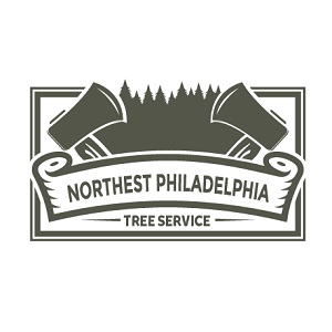 Northeast Philadelphia Tree Services