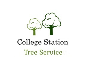 College Station Tree Service