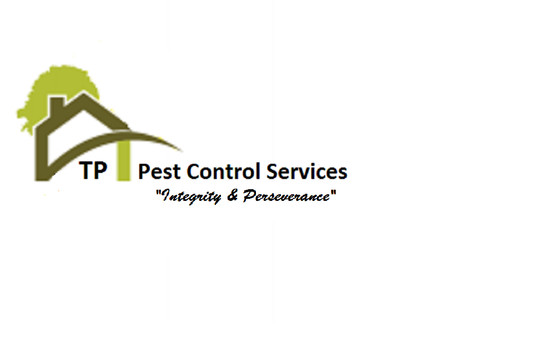 TP Pest Control Services - Rat Control