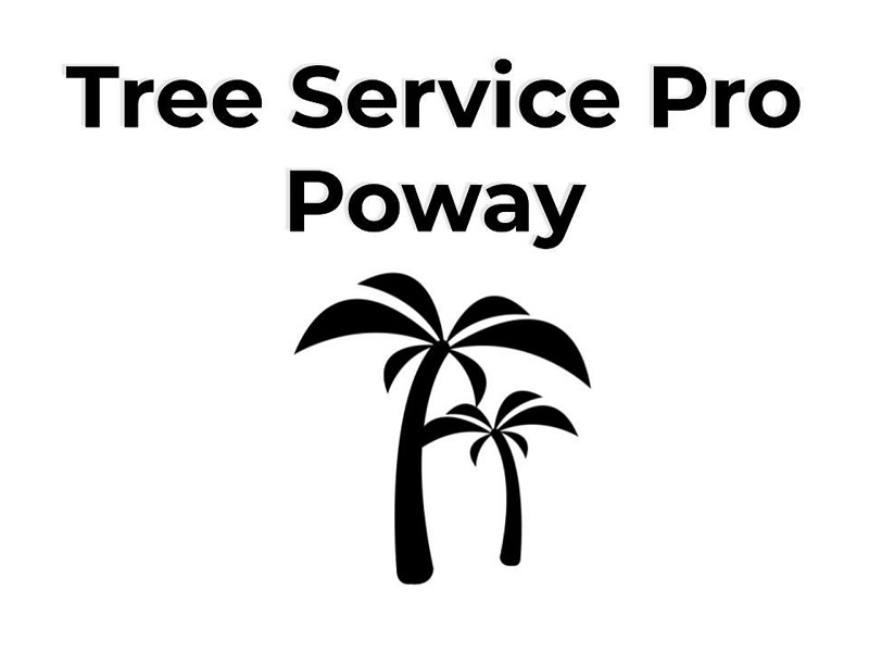 Pro Star Tree Service Poway