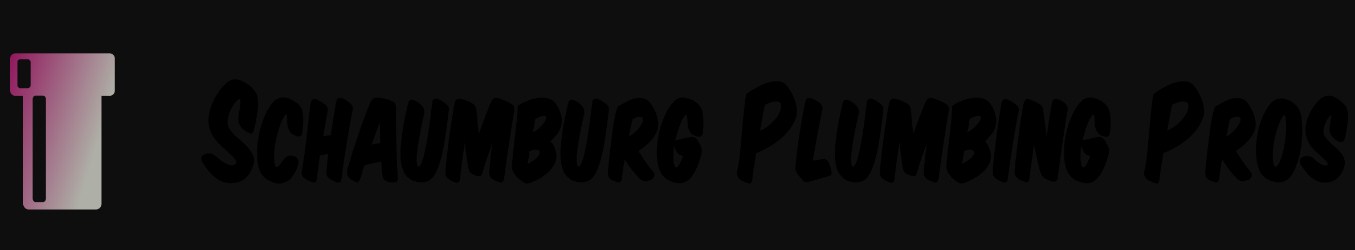Schaumburg Plumbing Pros
