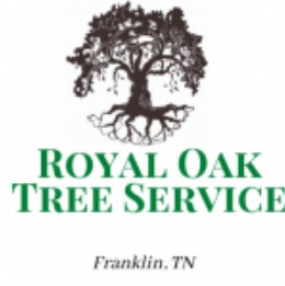 Royal Oaks Tree Service Franklin