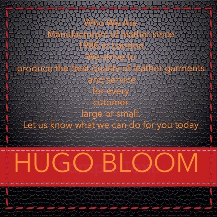 Hugo Bloom