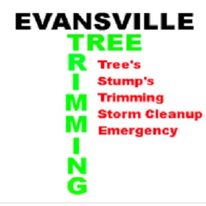 Tree Trimming Evansville