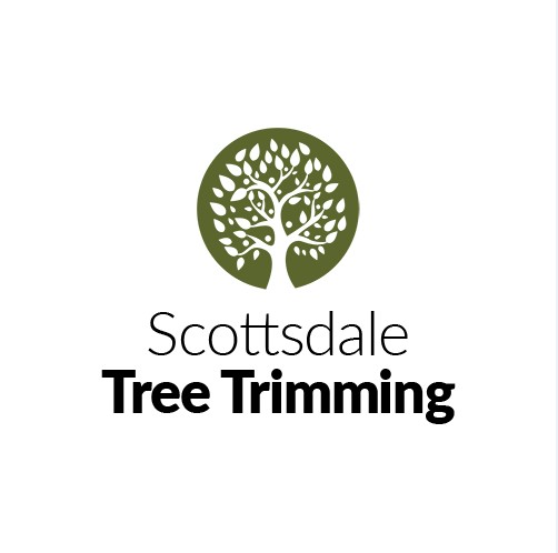 Scottsdale Tree Trimming