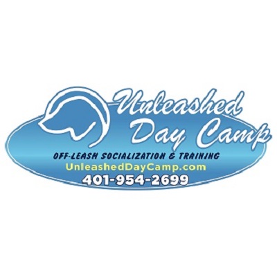 Unleashed! Day Camp