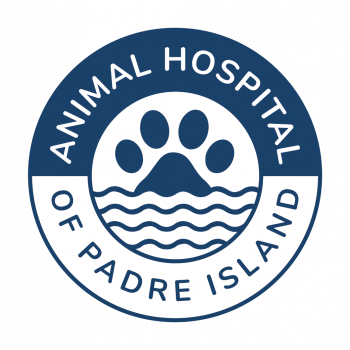 Animal Hospital of Padre Island