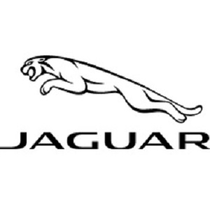 Jaguar of Arrowhead