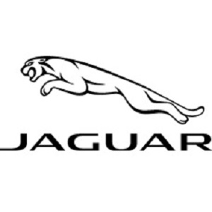 Jaguar of Arrowhead