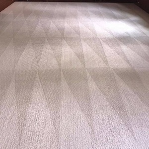 Mar Vista Carpet & Upholstery Cleaning