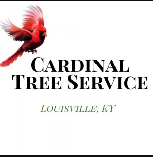 Cardinal Tree Service Louisville