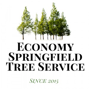 Economy Springfield Tree Service