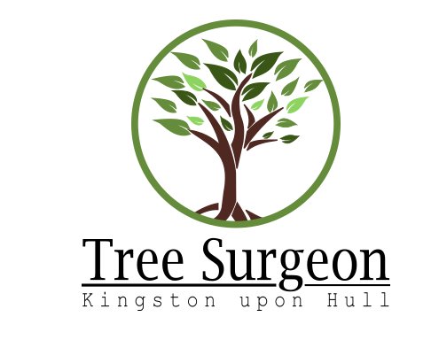 Tree Service Hull