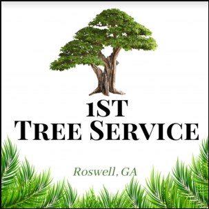 1st Tree Service