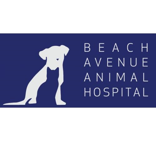 Beach Avenue Animal Hospital