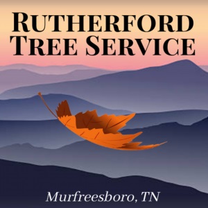 Rutherford Tree Service Murfreesboro