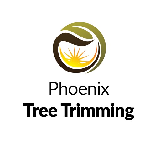 Phoenix Tree Trimming