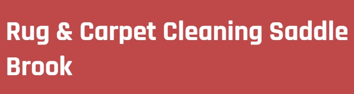 Rug And Carpet Cleaning Saddle Brook