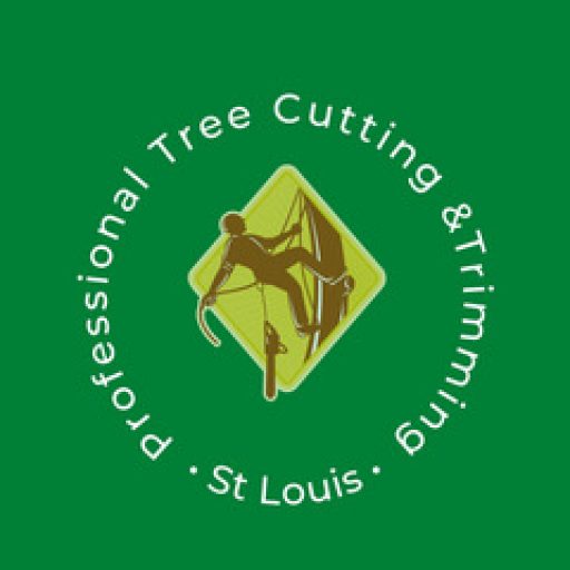 Professional Tree Cutting & Trimming