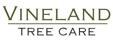 Vineland Tree Care
