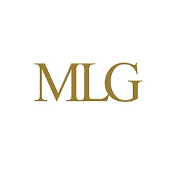 MLG Business Litigation Group