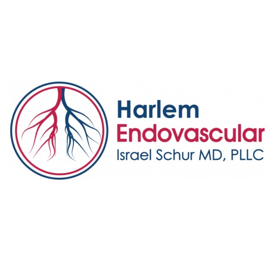 Harlem Endovascular - American Endovascular