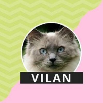 VilanPet