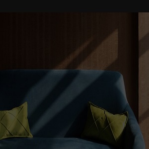 PRO Dry Cleaning Upholstery