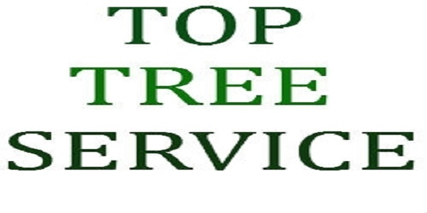 Top Tree Service