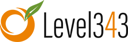 Level343 - International Marketing & SEO Company