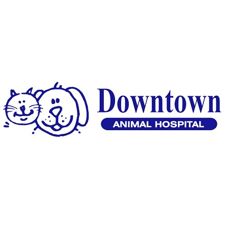 Downtown Animal Hospital