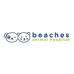 Beaches Animal Hospital